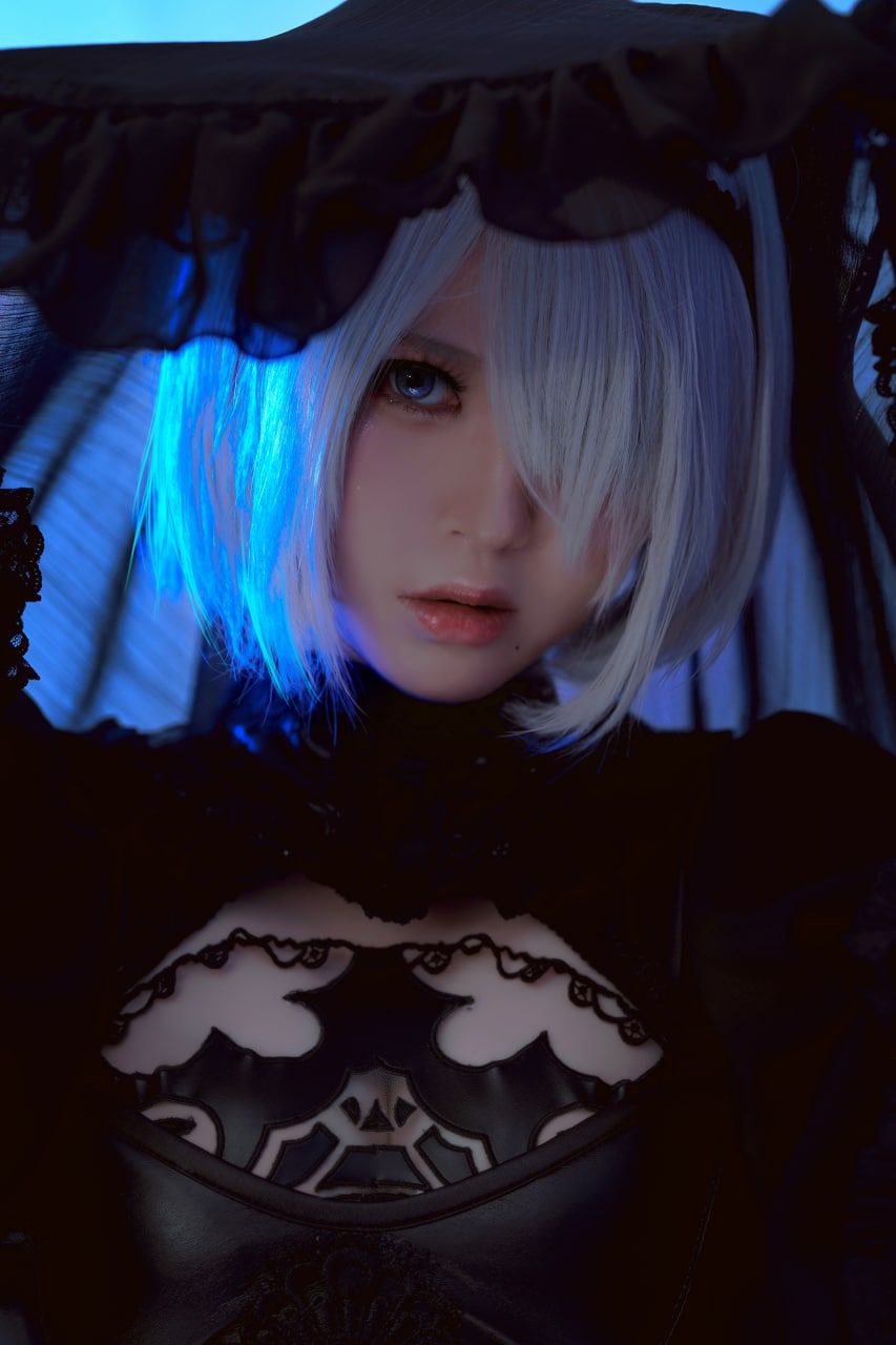 V4.6.5官方APP下载